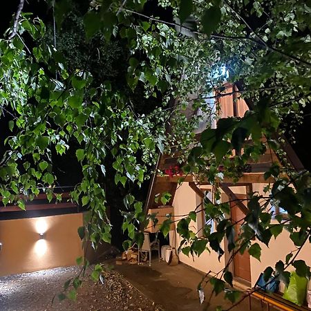 Villa Vikendica Stojanovic Mionica Exterior foto