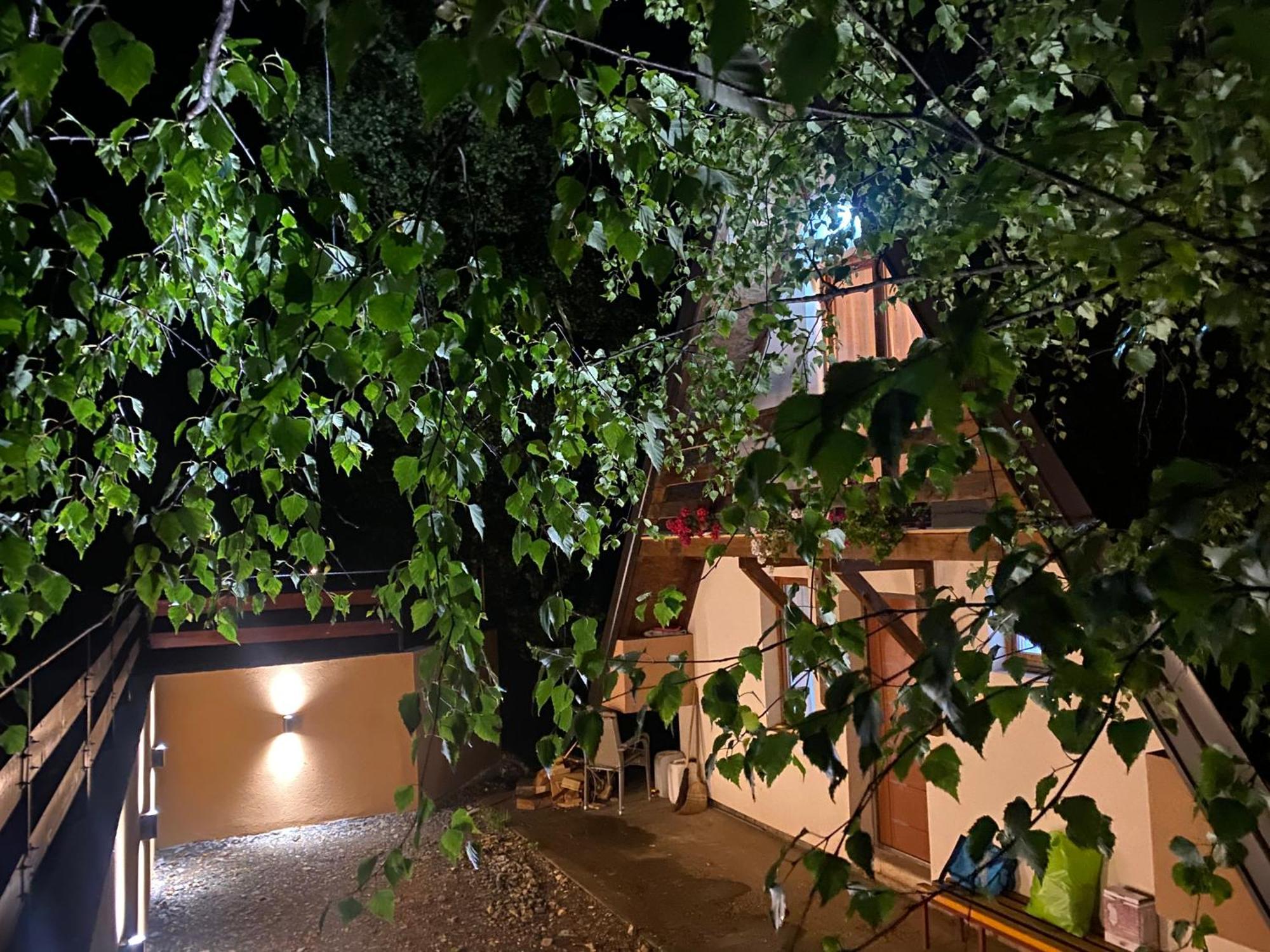 Villa Vikendica Stojanovic Mionica Exterior foto